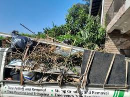 Shed Removal in Dutch Island, GA